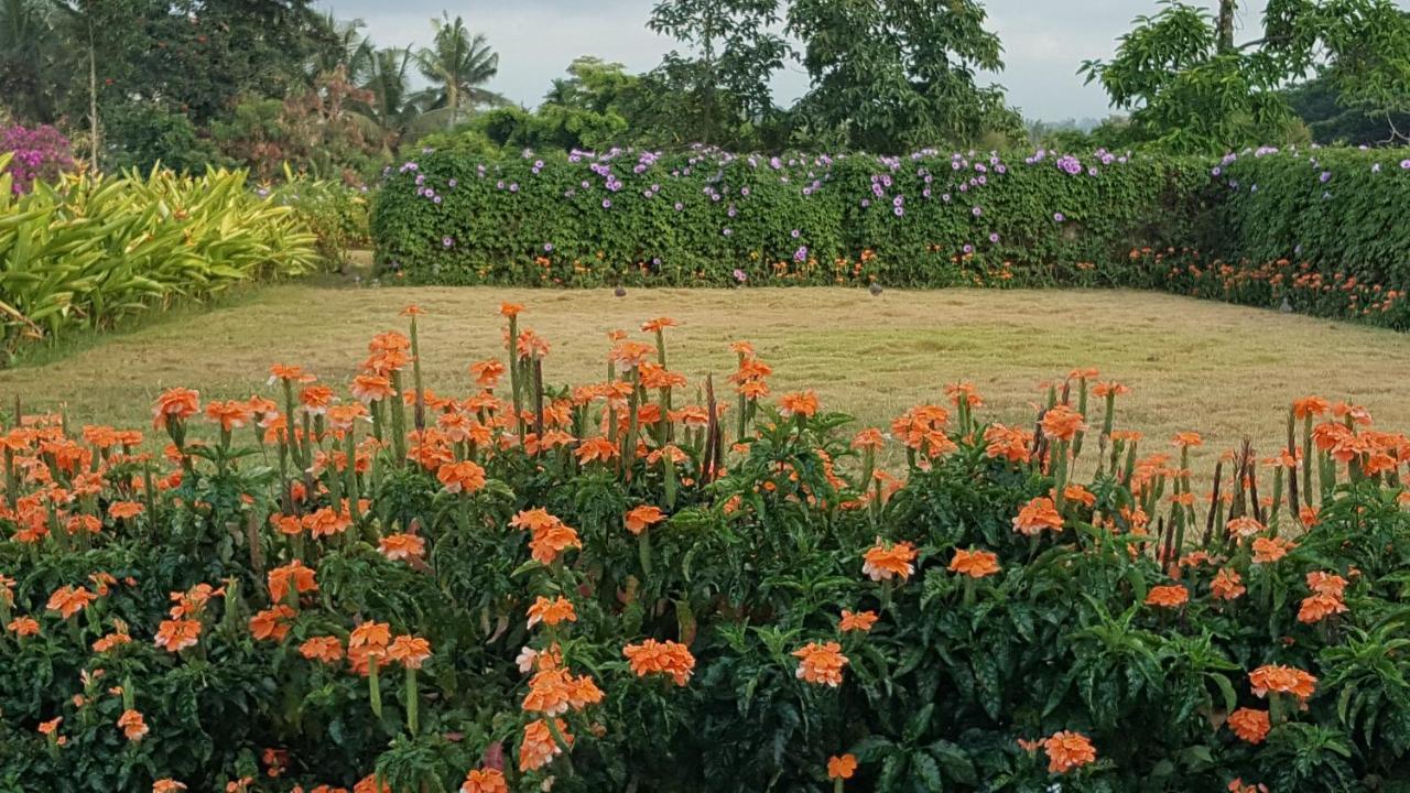 Ubud Wana Resort Zewnętrze zdjęcie